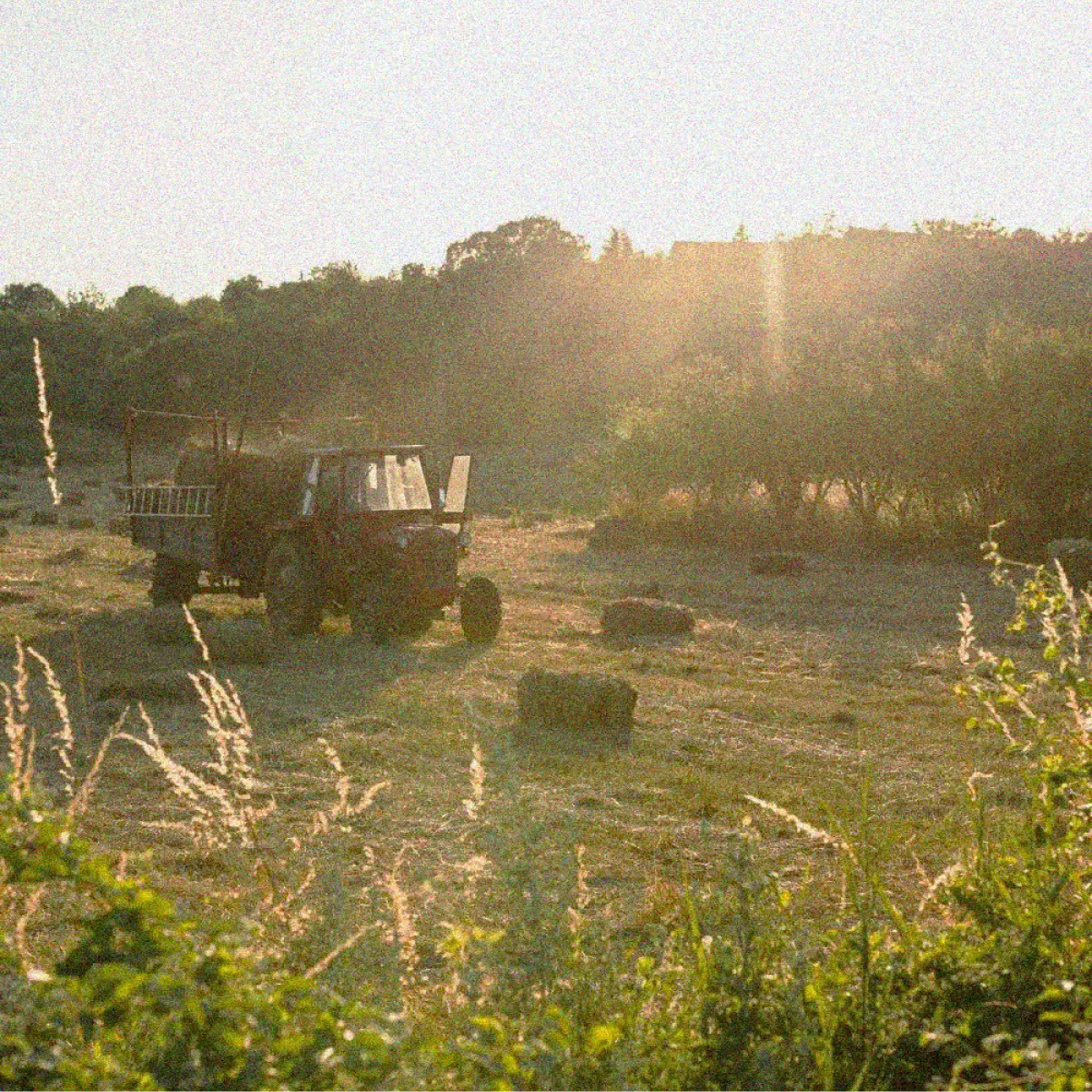 max farmer productos agricultura